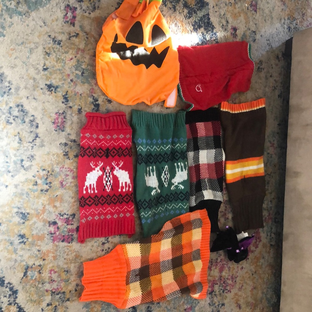 Small and medium dog clothes